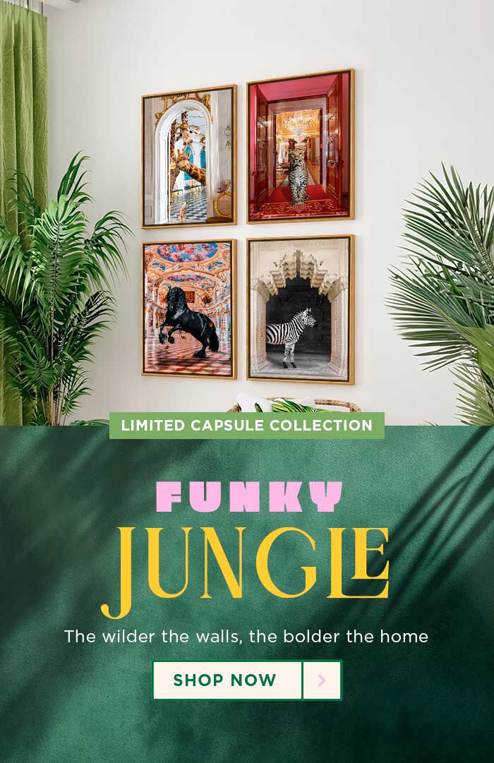 Funky Jungle Banner